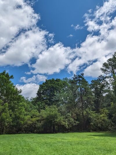 Ollie Turner Park - Wellesley, MA