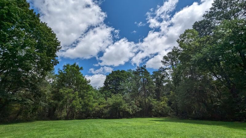 Ollie Turner Park - Wellesley, MA