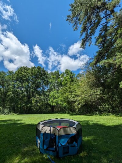 Ollie Turner Park - Wellesley, MA