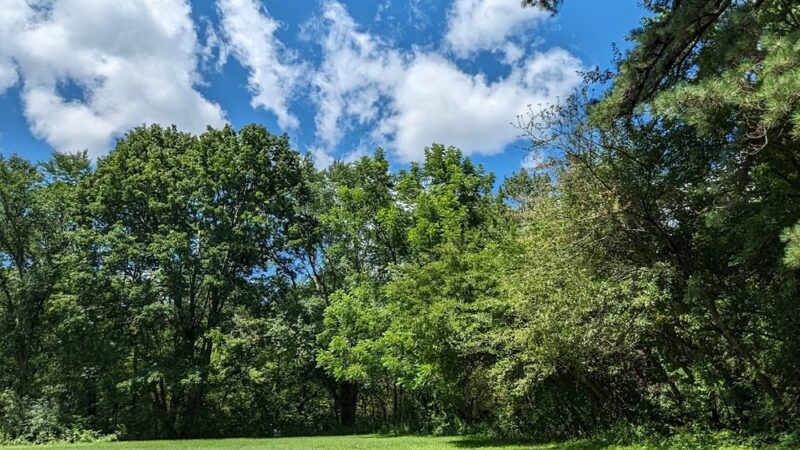 Ollie Turner Park - Wellesley, MA