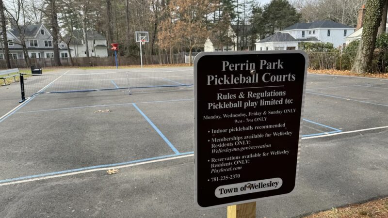 Perrin Park - Wellesley, MA