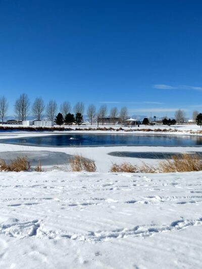 Meadows Open Space - Wellington, CO