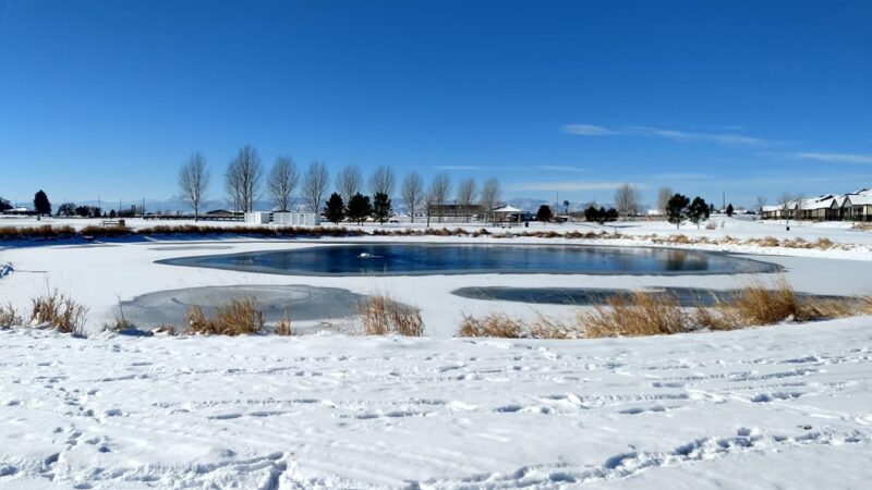 Meadows Open Space - Wellington, CO
