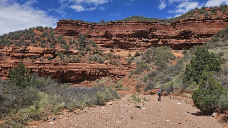 Red Mountain Open Space - Wellington, CO