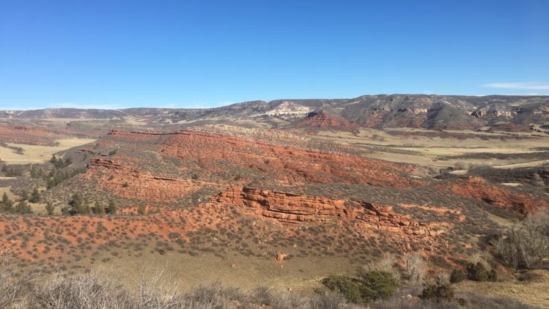 Red Mountain Open Space - Wellington, CO