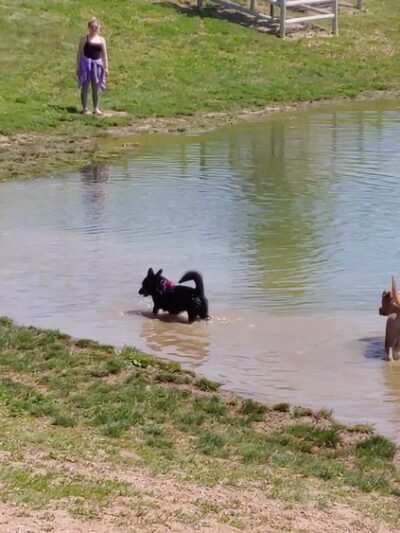 Wellington Community Park - Wellington, CO