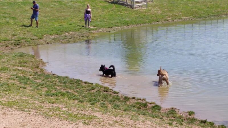 Wellington Community Park - Wellington, CO