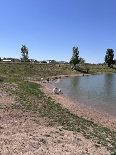 Wellington Community Park - Wellington, CO