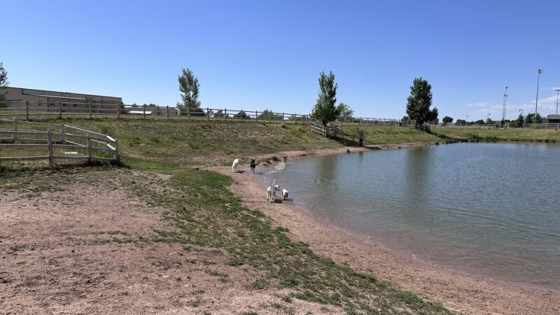 Wellington Community Park - Wellington, CO