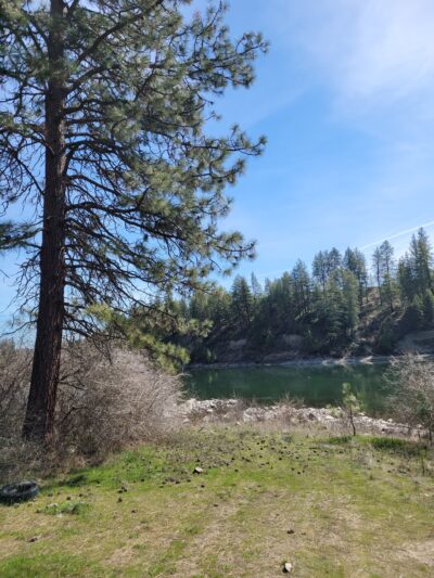 Wynecoop Dock - Wellpinit, WA