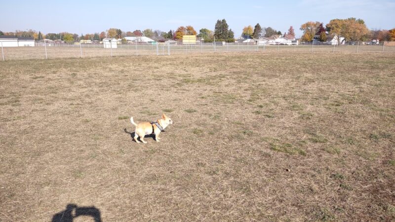 Wells Community Dog Park - Wells, MI
