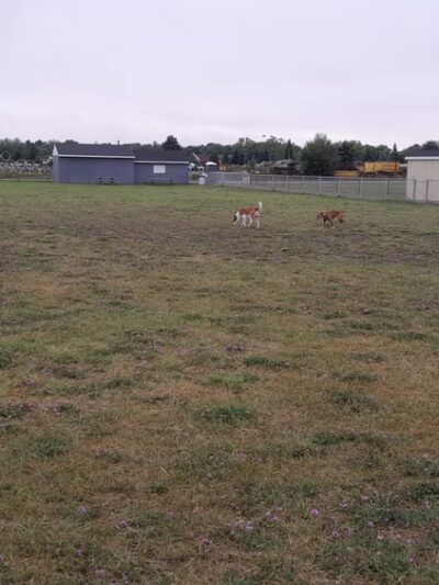 Wells Community Dog Park - Wells, MI