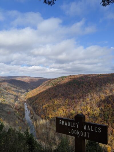 Bradley Wales Picnic Area - Wellsboro, PA