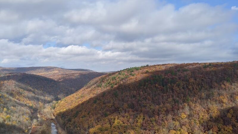 Bradley Wales Picnic Area - Wellsboro, PA