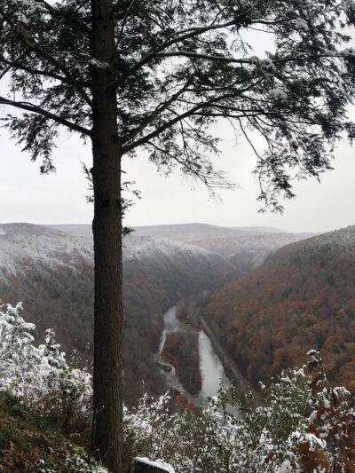 Bradley Wales Picnic Area - Wellsboro, PA