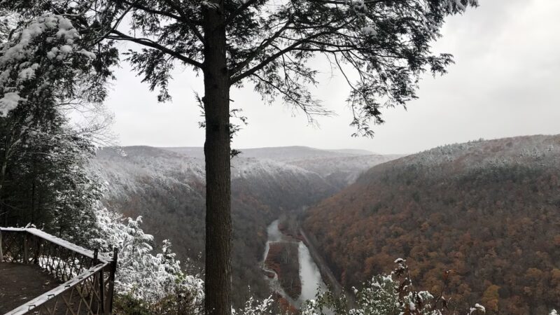 Bradley Wales Picnic Area - Wellsboro, PA