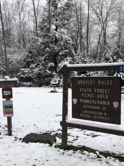 Bradley Wales Picnic Area - Wellsboro, PA