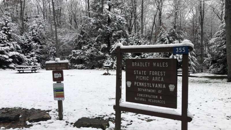 Bradley Wales Picnic Area - Wellsboro, PA