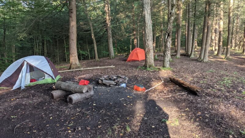 Bradley Wales Picnic Area - Wellsboro, PA