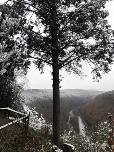Bradley Wales Picnic Area - Wellsboro, PA
