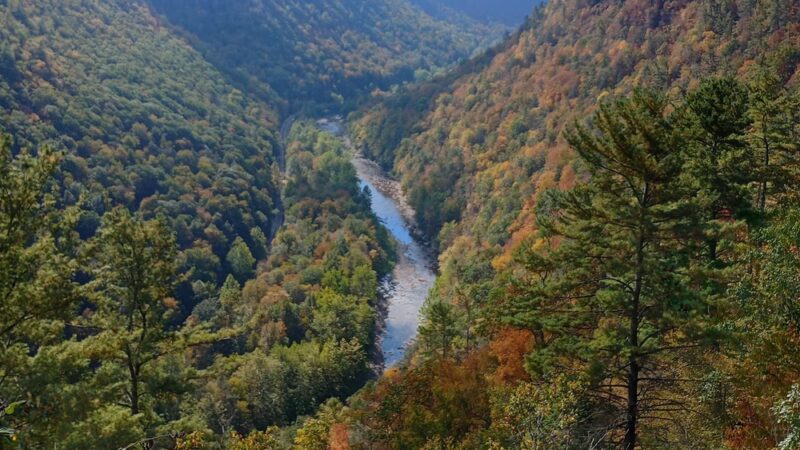 Colton Point State Park - Wellsboro, PA