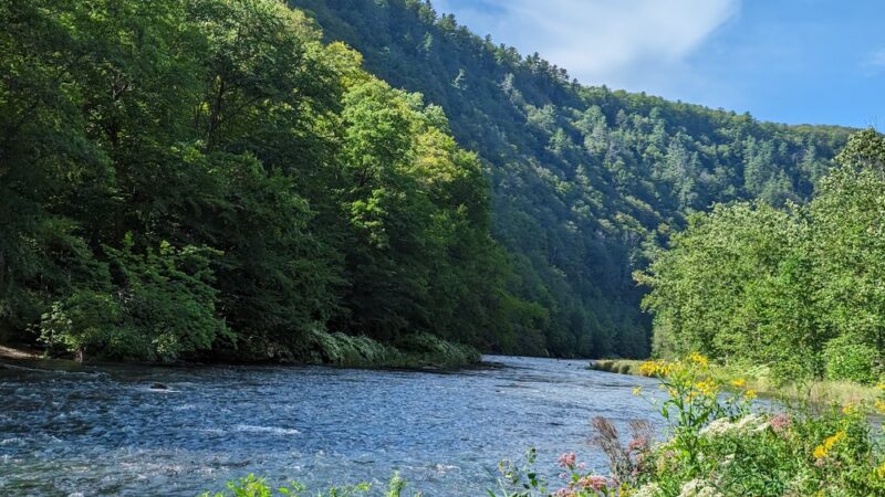 Colton Point State Park - Wellsboro, PA