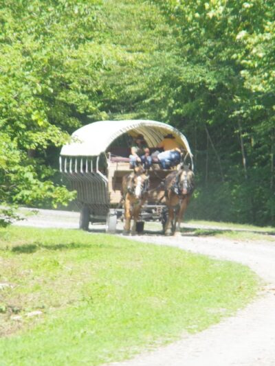 Darling Run Pine Creek - Wellsboro, PA