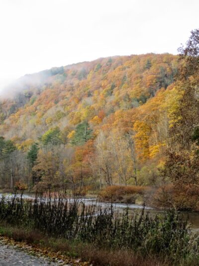 Darling Run Pine Creek - Wellsboro, PA