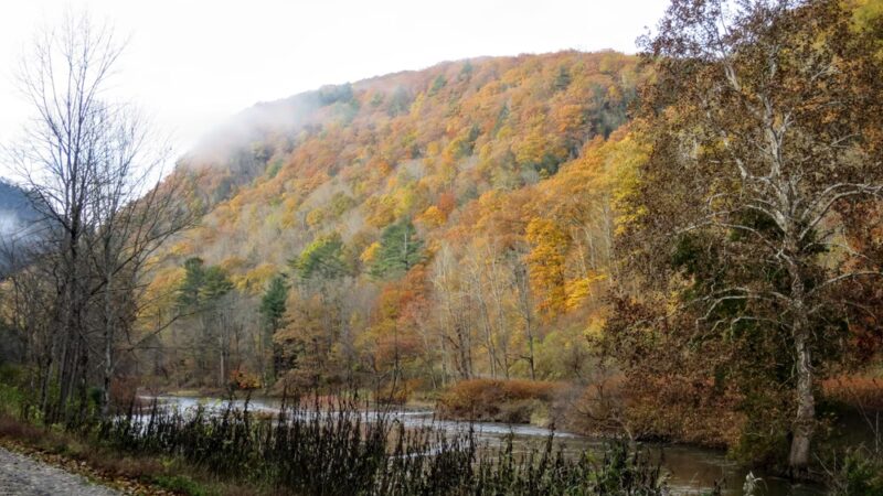 Darling Run Pine Creek - Wellsboro, PA