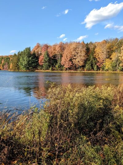 Hills Creek State Park - Wellsboro, PA