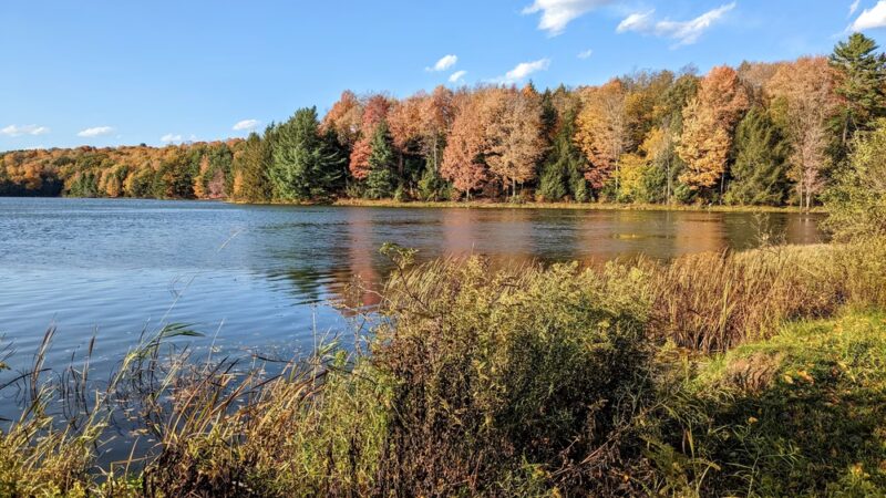Hills Creek State Park - Wellsboro, PA