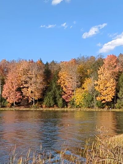 Hills Creek State Park - Wellsboro, PA
