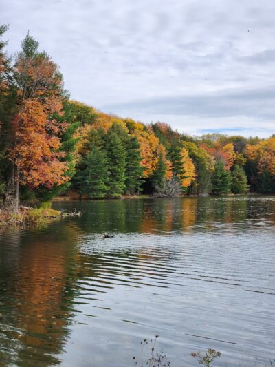 Hills Creek State Park - Wellsboro, PA