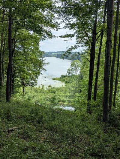 Hills Creek State Park - Wellsboro, PA
