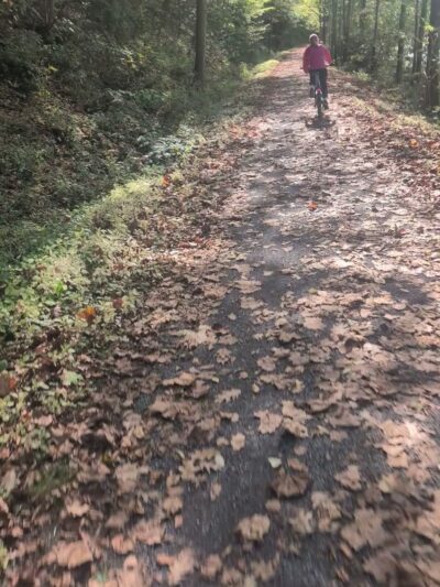 Pine Creek Rail Trail Darling run parking - Wellsboro, PA