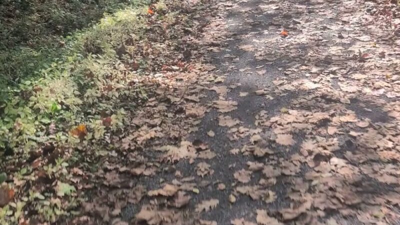 Pine Creek Rail Trail Darling run parking - Wellsboro, PA
