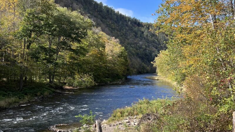 Pine Creek Rail Trail Darling run parking - Wellsboro, PA