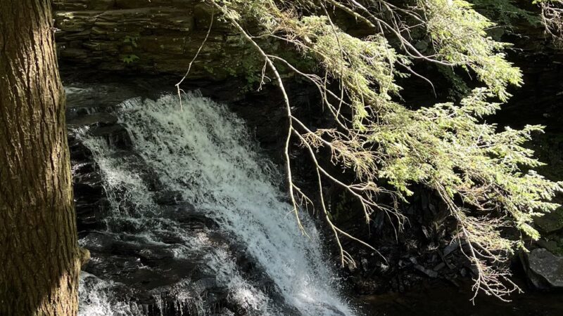 Sand Run Falls Parking - Wellsboro, PA