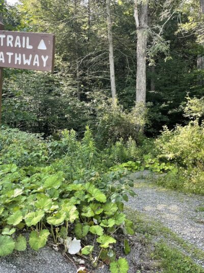 West Rim Trail Northern Terminus - Wellsboro, PA