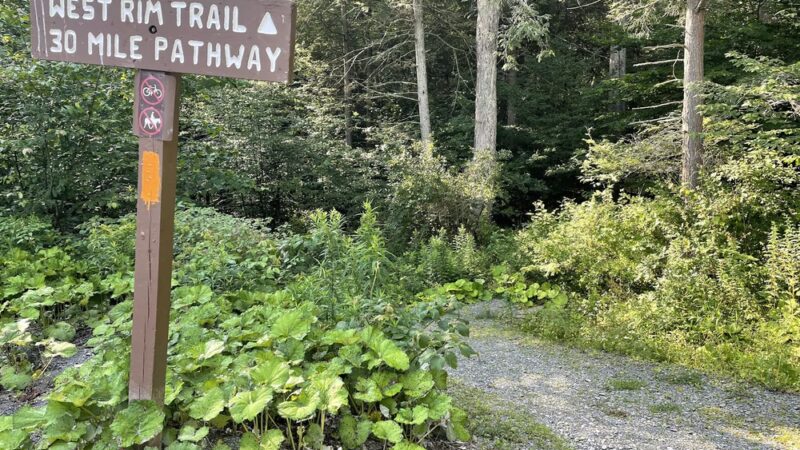 West Rim Trail Northern Terminus - Wellsboro, PA