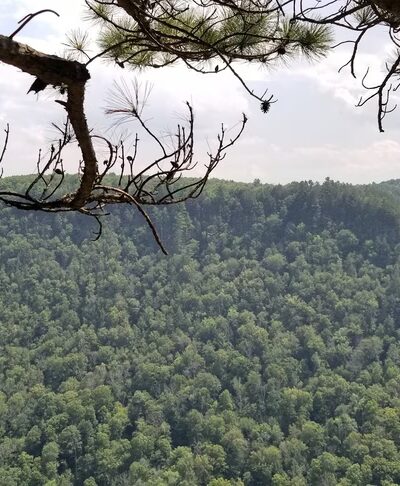 West Rim Trail Northern Terminus - Wellsboro, PA
