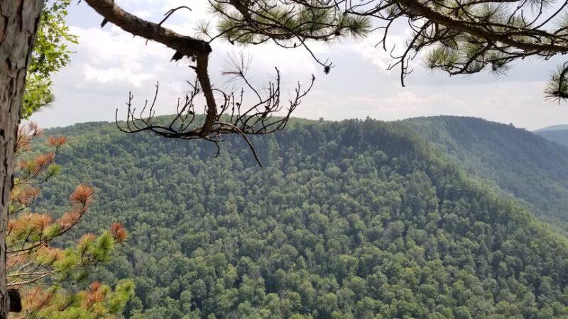 West Rim Trail Northern Terminus - Wellsboro, PA