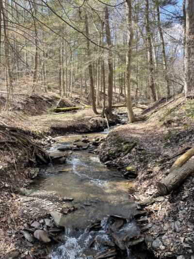 West Rim Trail Northern Terminus - Wellsboro, PA