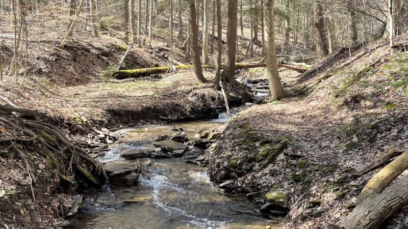 West Rim Trail Northern Terminus - Wellsboro, PA