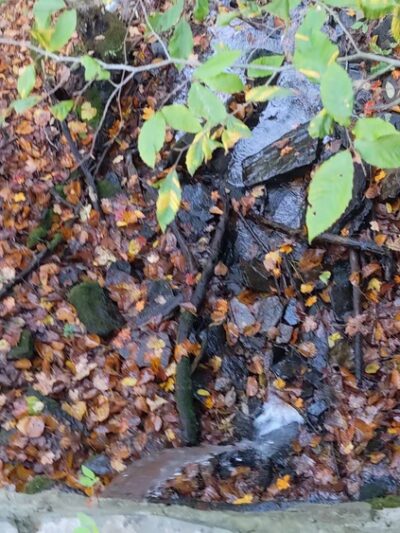 Woodland Park - Wellsboro, PA