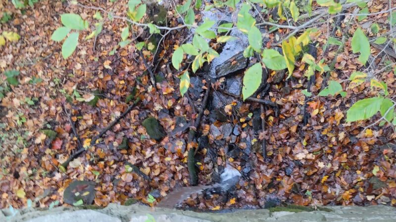 Woodland Park - Wellsboro, PA