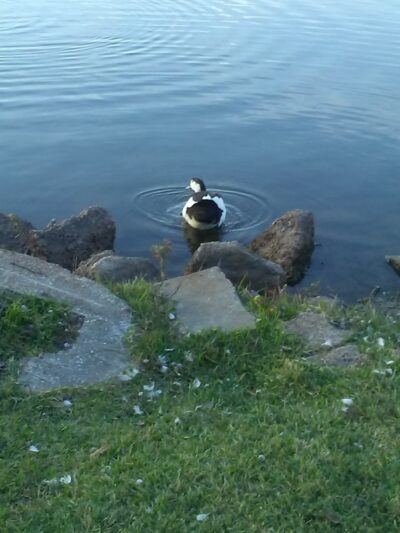 Sportsman Park - Welsh, LA
