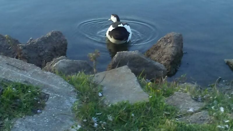 Sportsman Park - Welsh, LA