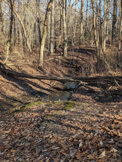 Woods of Wenonah - Wenonah, NJ