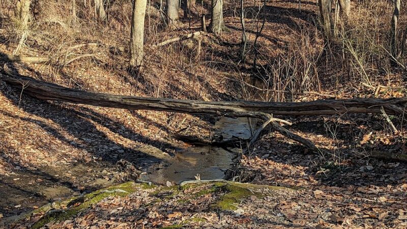 Woods of Wenonah - Wenonah, NJ